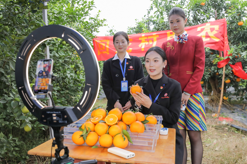 1732020230100221.jpg AZ2A1199.jpg