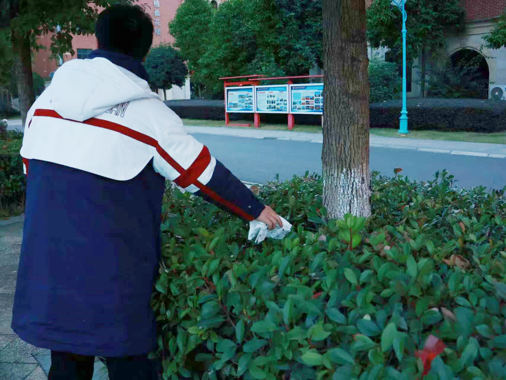 1764661666120618.jpg 1764661639951776.jpg