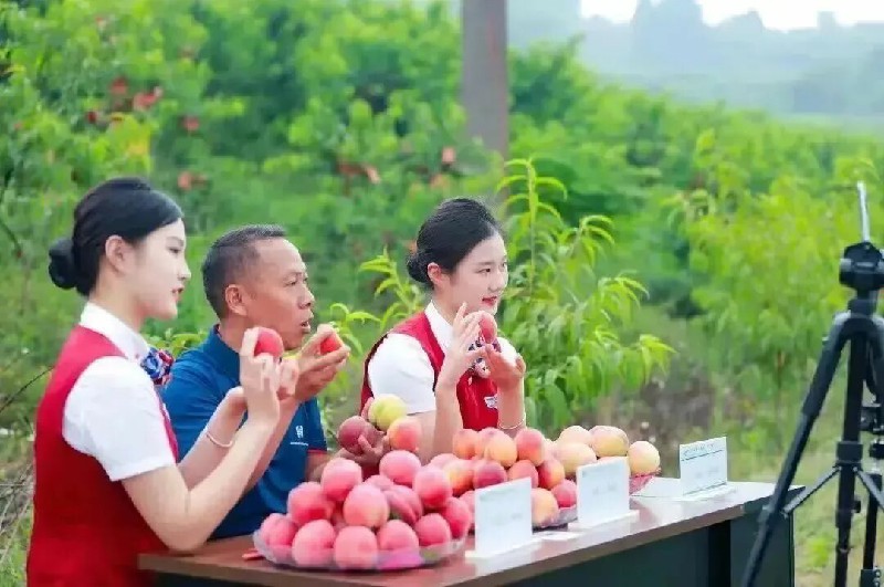 1770969381492283.jpg 9e5848009be40b0777f0809165b8b6af-sz_97742.jpg